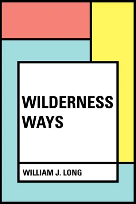 Read: Book Wilderness Ways