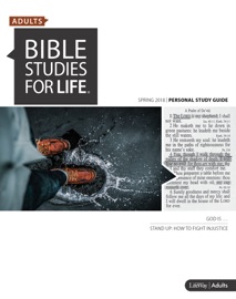 Bible Studies for Life: Adult Personal Study Guide - CSB - R. Brian Gass, Ken Hemphill, David Fleming & Daniel Darling