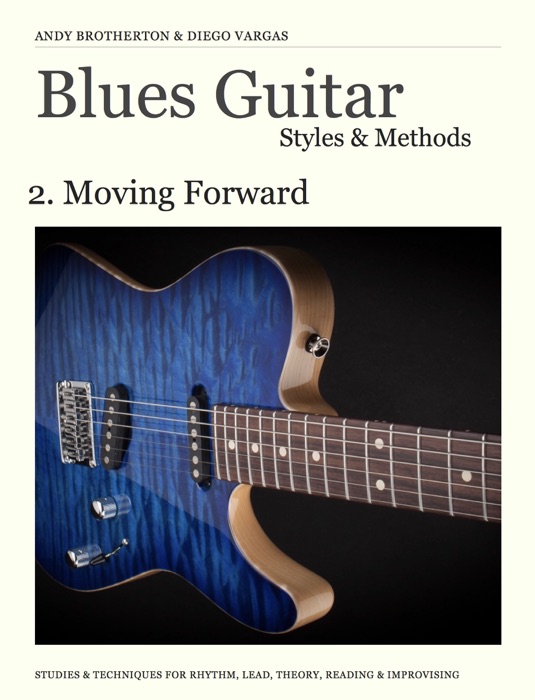 Blues Guitar Styles