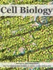 Book Cell Biology