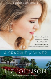Sparkle of Silver - Liz Johnson