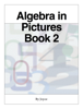 Algebra in Pictures     Book 2 - Joyce Hull