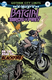Batgirl and the Birds of Prey (2016-2018) #14 - Shawna Benson, Julie Benson & Marcio Takara
