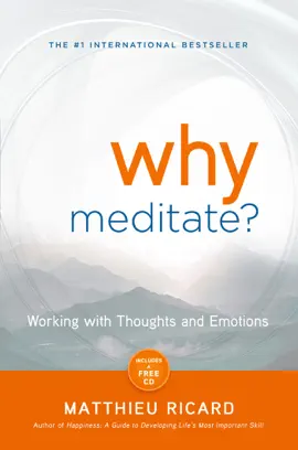 Read: Book Why Meditate?