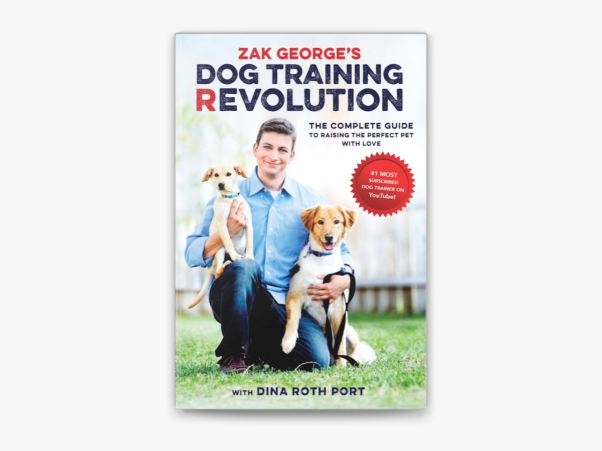 Zack george dog deals training