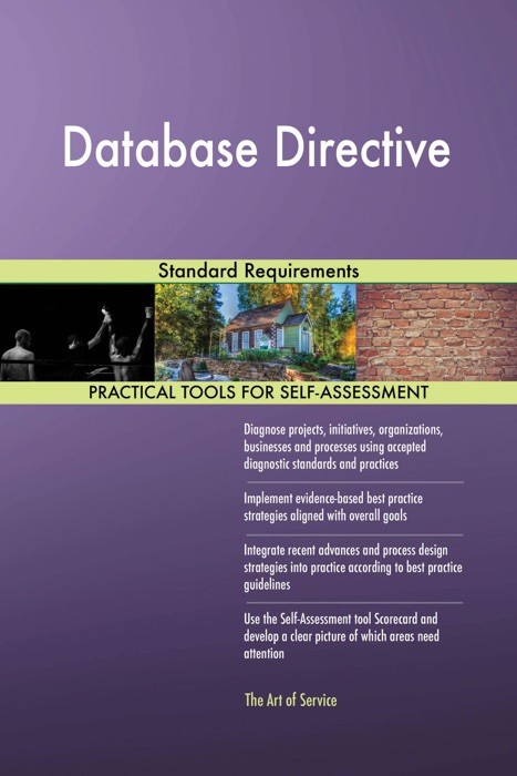 Database Directive Standard Requirements
