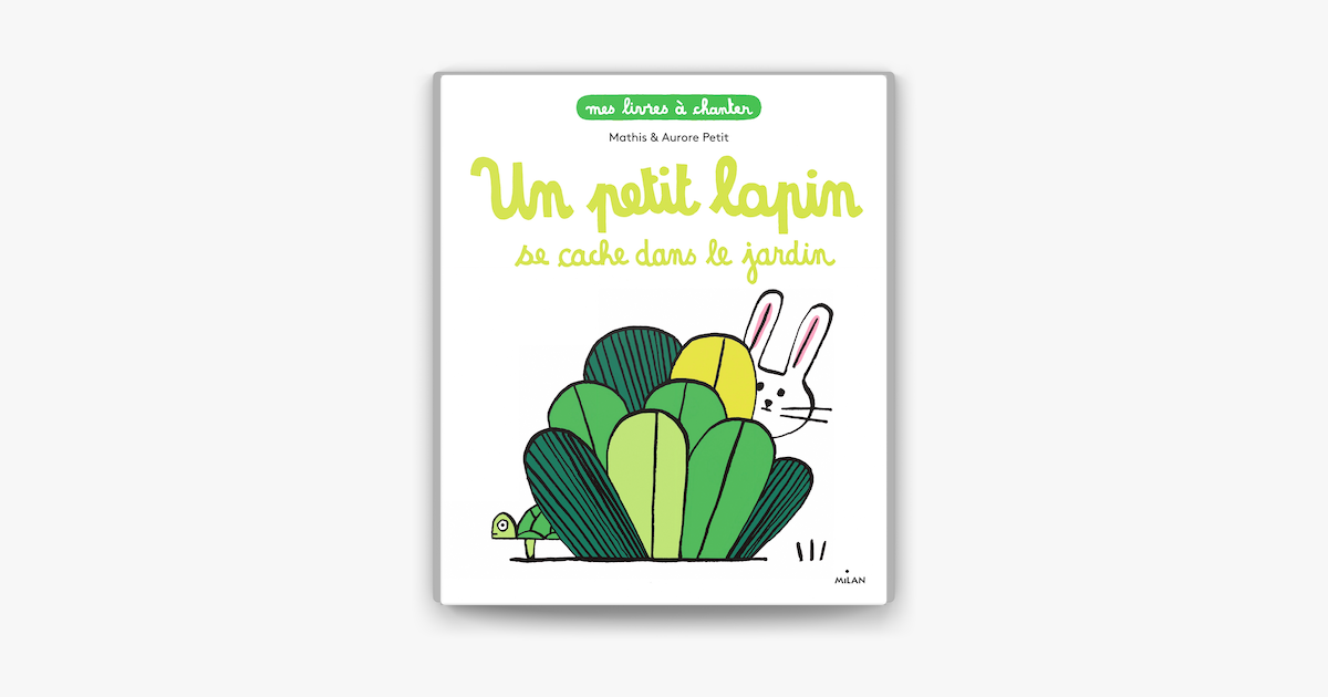 Livre Cache-cache petit lapin