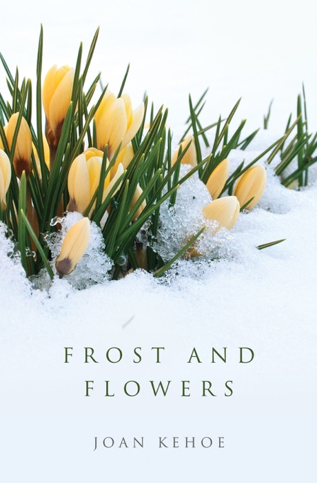 Frost and Flowers