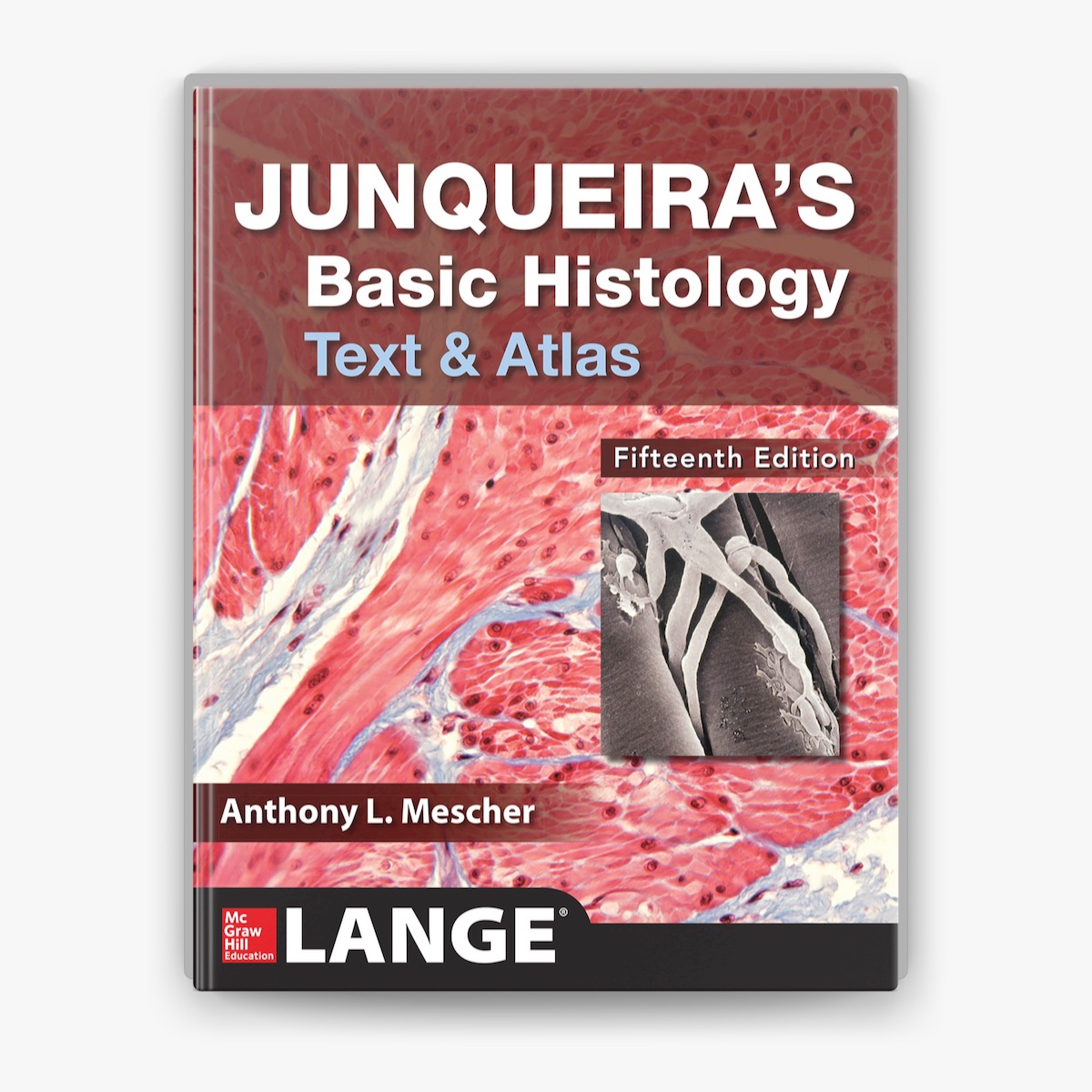 洋書 Junqueira's Basic Histology: Text Atlas A1sfd4NF8+L._UF1000,1000_QL80_.jpg