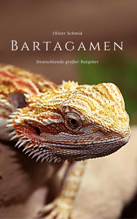 Bartagamen