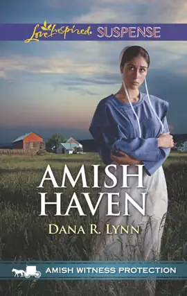 Read: Amish Haven Book