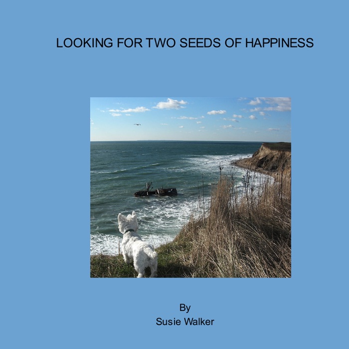 Looking for Two Seeds of Happiness