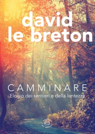 Book's Cover of Camminare