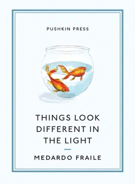 Read: Book Things Look Different in the Light & Other Stories