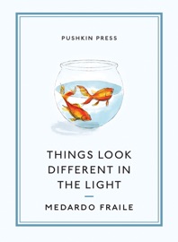 Things Look Different in the Light & Other Stories - Medardo Fraile, Ali Smith & Margaret Jull Costa