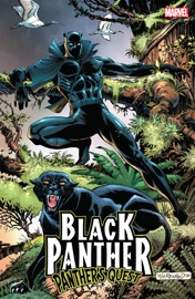 Black Panther - Don McGregor
