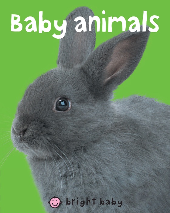 Bright Baby Baby Animals