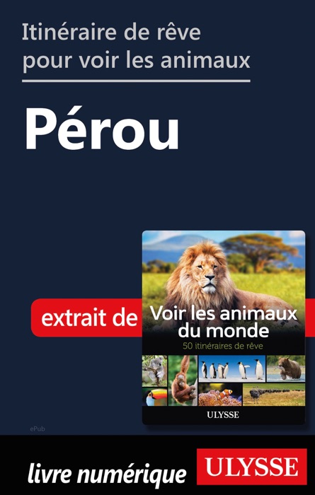Itinéraire de rêve pour voir les animaux - Pérou