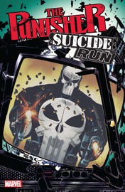Punisher - Steven Grant