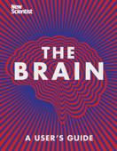 The Brain - New Scientist