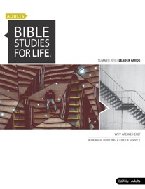Bible Studies for Life: Adult Leader Guide - ESV - eBook - R. Brian Gass, Ronnie W. Floyd, Greg Miller, Bob Bunn & Cliff Lea