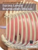 Book Equine Lower Respiratory Disease