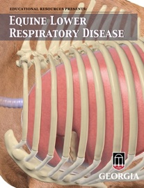 Equine Lower Respiratory Disease - Educational Resources, University of Georgia