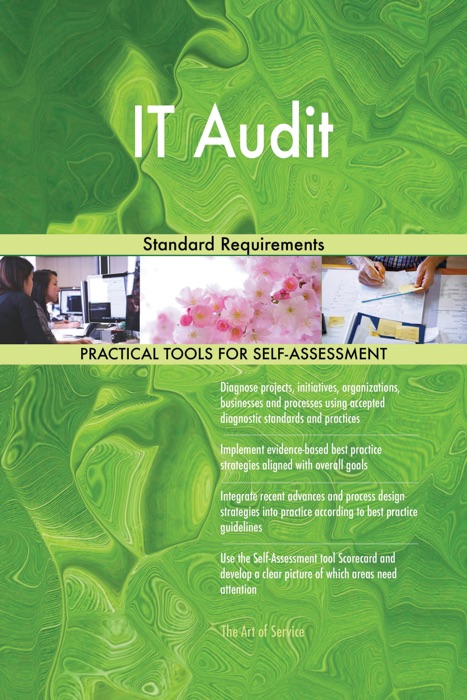 IT Audit Standard Requirements