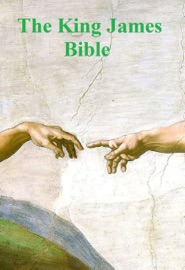 King James Bible (Illustrated) - Anonymous