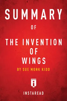 Summary of The Invention of Wings