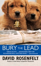 Bury the Lead - David Rosenfelt