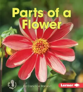 Read: Book Parts of a Flower
