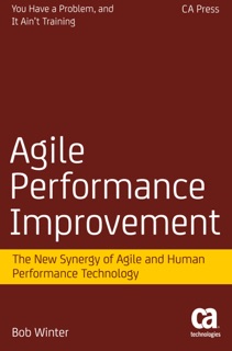 Agile Performance Improvement by Robert Winter