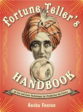 Read: Fortune Teller's Handbook Book