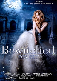 The Bewitched Box Set - Mande Matthews, W.J. May, C.J. Pinard, Irene Kueh, Dale Mayer, J&L Wells, Karin DeHavin & Chrissy Peebles