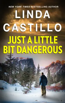 Read: Just a Little Bit Dangerous Book