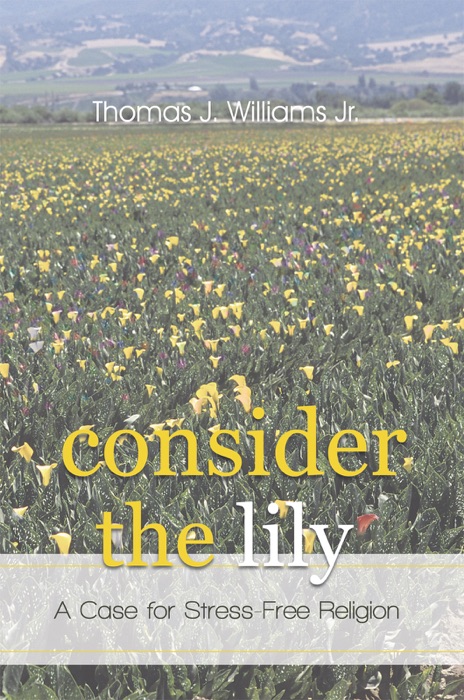 Consider the Lily