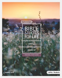 Bible Studies for Life: Students Personal Study Guide - KJV - David Francis, Jeff Belcher, Ken Hemphill & Daniel Darling