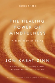 The Healing Power of Mindfulness - Jon Kabat-Zinn