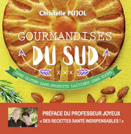 Read: Gourmandises du Sud - Sans gluten - sans produits laitiers Book - sans sucre