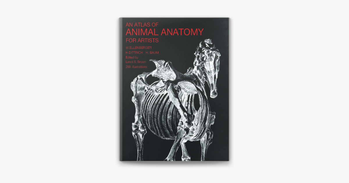 An Atlas Of Animal Anatomy For Artists En Apple Books An Atlas Of Animal Anatomy For Artists En Apple Books