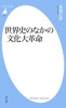 世界史のなかの文化大革命