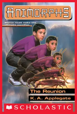 Read: The Reunion Book (Animorphs #30)