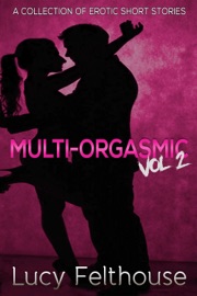 Multi-Orgasmic Vol 2: A Collection of Short Stories - Lucy Felthouse