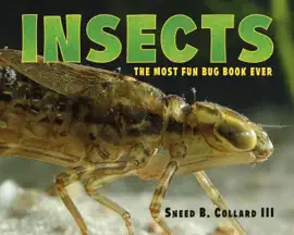 Read: Insects
