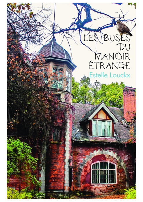 Les Buses du manoir étrange