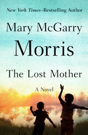 Book's Cover of The Lost Mother