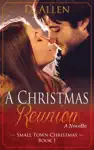 A Christmas Reunion by D. ALLEN Book Summary, Reviews and Downlod