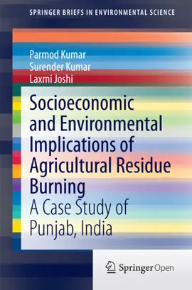 Read: Socioeconomic and Environmental Book Implications of Agricultural Residue Burning