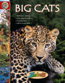 Zoobooks Big Cats - Wildlife Education, Ltd